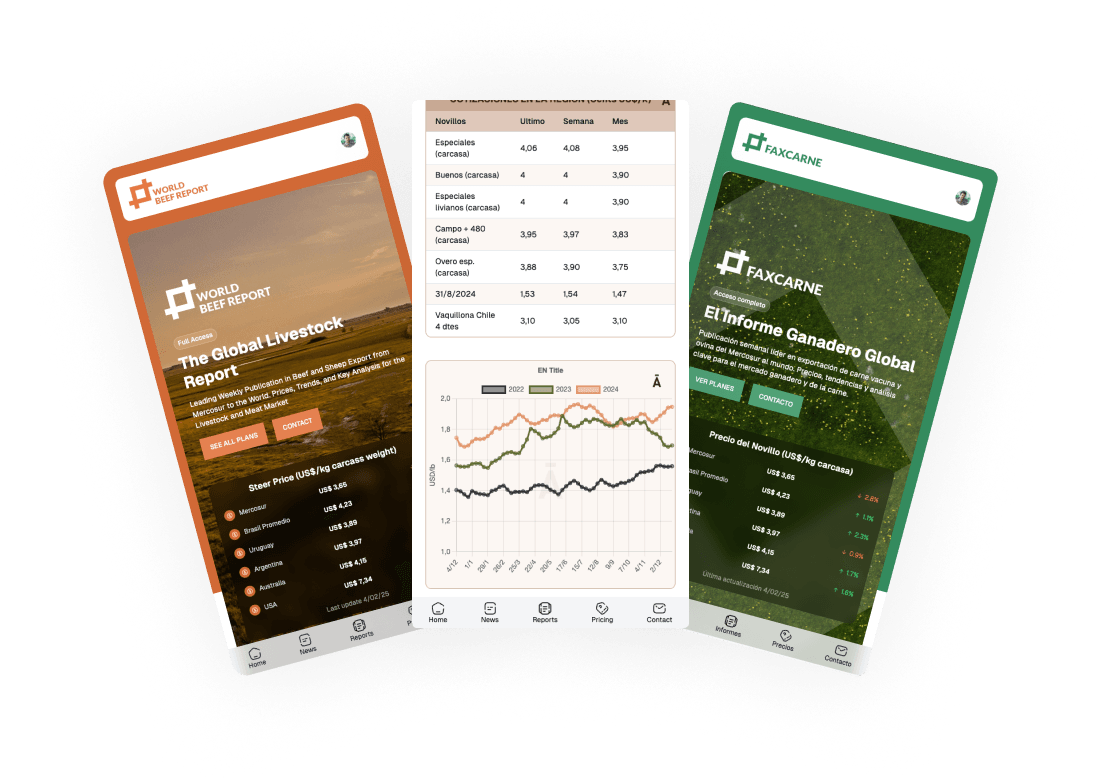 Website on mobile devices